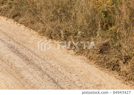 dusty dry dirt road with wild grass thickets on its side 84943427