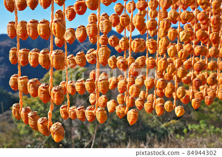 [Hanging persimmon (dried persimmon)] Kushikaki no Sato: Katsuragi-cho, Ito-gun, Wakayama Prefecture 84944302