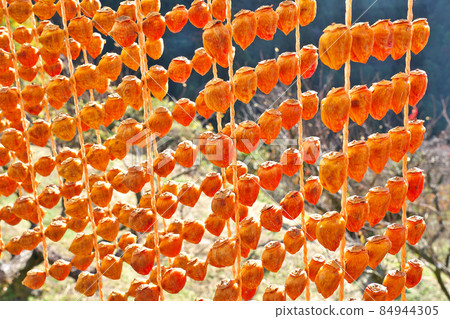 【掛柿（柿餅）】串柿之裡：和歌山縣伊東郡葛城町 84944305