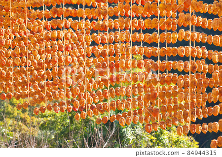 [Hanging persimmon (dried persimmon)] Kushikaki no Sato: Katsuragi-cho, Ito-gun, Wakayama Prefecture 84944315