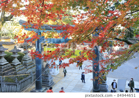 View Kotohiragu Shrine, Sakurababa Nishizume Copper Torii from the front of the office 84944651