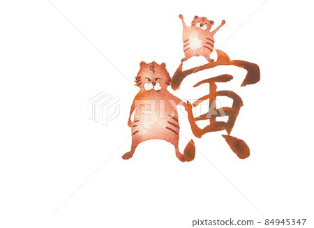 虎年年貨 84945347