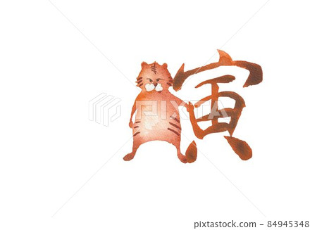虎年年貨 84945348