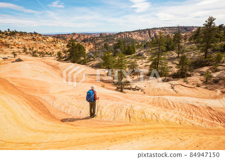 Hike in Utah 84947150