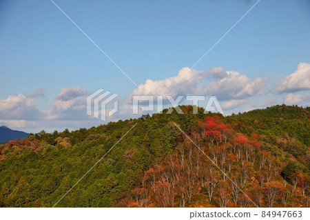 Autumn leaves, blue sky and mountains Autumn leaves, blue sky and mountains 84947663