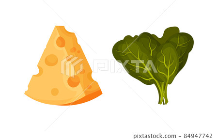 Fresh basil leaves and cheese dairy product, organic natural cooking ingredients vector illustration Fresh basil leaves and cheese dairy product, organic natural cooking ingredients vector illustration 84947742