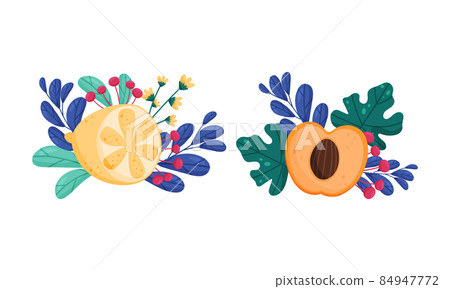 Fresh ripe apricot and lemon among among grass and leaves set vector illustration Fresh ripe apricot and lemon among among grass and leaves set vector illustration 84947772