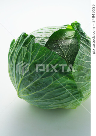 新鮮的白菜 新鮮的白菜 84949559