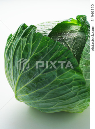 新鮮的白菜 新鮮的白菜 84949560
