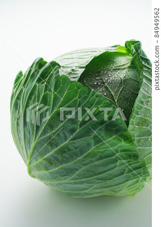 Fresh cabbage Fresh cabbage 84949562