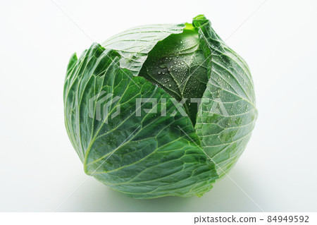 Fresh cabbage 84949592