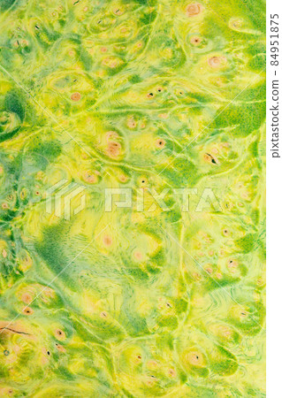 Macro photography of a stabilized wooden block with a color dye, The texture of a decorative wood Acer, maples, Natural wood pattern Macro photography of a stabilized wooden block with a color dye, The texture of a decorative wood Acer, maples, Natural wood pattern 84951875