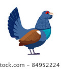 Tetrao urogallus or Capercaillie side view. Wild forest bird. Pheasant Eurasian wood grouse, heather cock Bird Cartoon flat style character of ornithology, vector illustration isolated on white 84952224