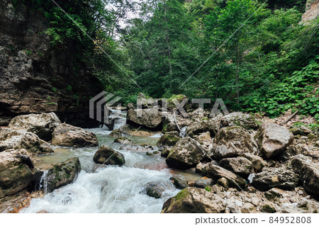 beautiful landscape fast mountain river and green forest 84952808
