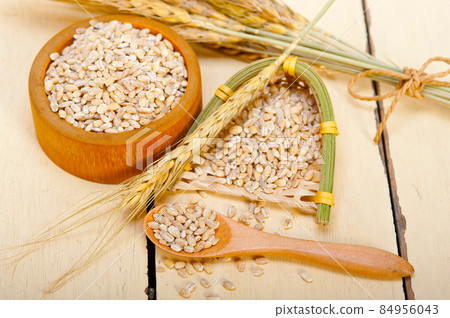 organic wheat grains organic wheat grains 84956043