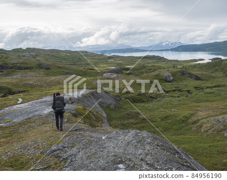 Man hiker with backpack walking at footpath in Lapland landscape at Virihaure lake with green mountains, birch trees and boulders. Sweden summer wild nature, Padjelantaleden hiking trail. 84956190