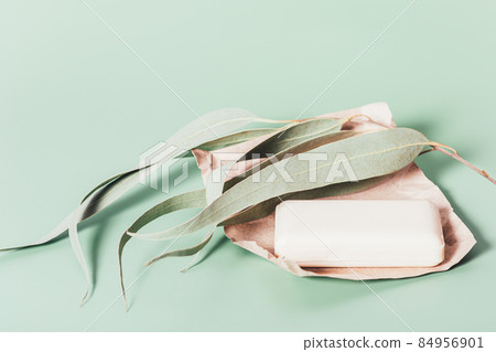 Organic soap bar on craft paper next to eucalyptus foliage Organic soap bar on craft paper next to eucalyptus foliage 84956901