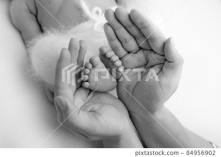 The palms of the father, the mother are holding the foot of the newborn baby. Feet of the newborn on the palms of the parents. Studio photography of a child's toes, heels and feet. Black and white. The palms of the father, the mother are holding the foot of the newborn baby. Feet of the newborn on the palms of the parents. Studio photography of a child's toes, heels and feet. Black and white. 84956902
