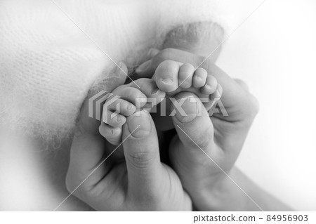 The palms of the father, the mother are holding the foot of the newborn baby. Feet of the newborn on the palms of the parents. Studio photography of a child's toes, heels and feet. Black and white. The palms of the father, the mother are holding the foot of the newborn baby. Feet of the newborn on the palms of the parents. Studio photography of a child's toes, heels and feet. Black and white. 84956903