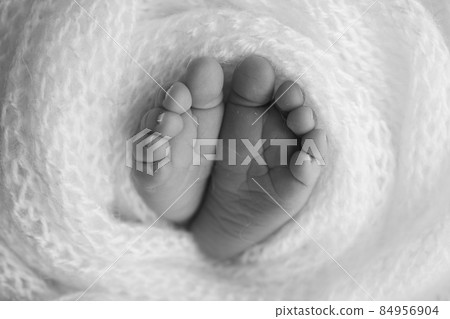 The tiny foot of a newborn. Soft feet of a newborn in a blanket. Close up of toes, heels and feet of a newborn baby. Studio Macro photography. Woman's happiness. Photography, concept. Black and white. The tiny foot of a newborn. Soft feet of a newborn in a blanket. Close up of toes, heels and feet of a newborn baby. Studio Macro photography. Woman's happiness. Photography, concept. Black and white. 84956904