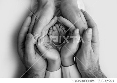 The palms of the father, the mother are holding the foot of the newborn baby. Feet of the newborn on the palms of the parents. Studio photography of a child's toes, heels and feet. Black and white. The palms of the father, the mother are holding the foot of the newborn baby. Feet of the newborn on the palms of the parents. Studio photography of a child's toes, heels and feet. Black and white. 84956905