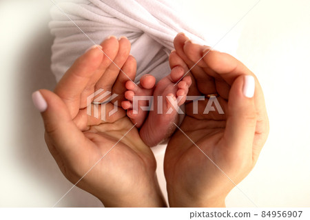 The palms of the father, the mother are holding the foot of the newborn baby. Feet of the newborn on the palms of the parents. Studio photography of a child's toes, heels and feet. The palms of the father, the mother are holding the foot of the newborn baby. Feet of the newborn on the palms of the parents. Studio photography of a child's toes, heels and feet. 84956907
