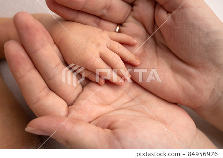 The palm of a newborn baby in the palms of the parents. Close-up of a small hand of a child and palms of mother and father. Parenting, childcare and health care concept. The palm of a newborn baby in the palms of the parents. Close-up of a small hand of a child and palms of mother and father. Parenting, childcare and health care concept. 84956976