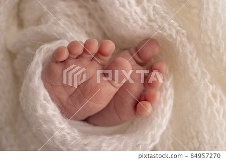 The tiny foot of a newborn. Soft feet of a newborn in a white woolen blanket. Close up of toes, heels and feet of a newborn baby. Studio Macro photography. Woman's happiness. Photography, concept. The tiny foot of a newborn. Soft feet of a newborn in a white woolen blanket. Close up of toes, heels and feet of a newborn baby. Studio Macro photography. Woman's happiness. Photography, concept. 84957270
