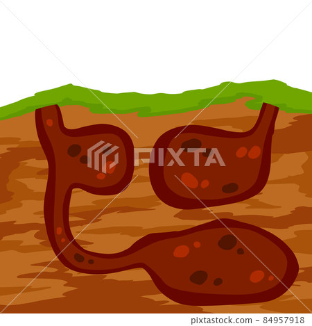 Animal hole and burrow. Scheme of hiding insects and rodents, mice in ground. Tunnels in ground. Underground background. Flat design Animal hole and burrow. Scheme of hiding insects and rodents, mice in ground. Tunnels in ground. Underground background. Flat design 84957918