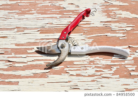 Garden shears for pruning branches, flowers and shrubs Garden shears for pruning branches, flowers and shrubs 84958500