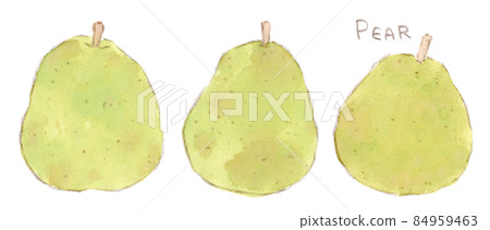 秋冬季水果：梨的水彩插圖（Pear，La France） 84959463