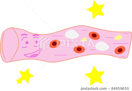 Image of healthy blood vessels 84959650