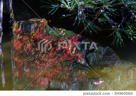 成田山公園的秋葉與藍天 成田山公園的秋葉與藍天 84960060