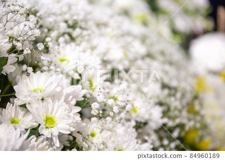 Funeral hall flower altar Funeral hall flower altar 84960189