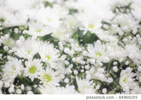 Funeral hall flower altar 84960205