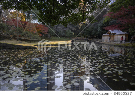 Karamon and water lotus pond restored in the inner garden Koishikawa Korakuen Bunkyo-ku, Tokyo 84960527