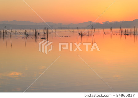 Numeruma王子的黎明 84960837