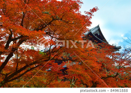 不知深秋的京都市南禪寺紅楓之上的山門是不是絕景 不知深秋的京都市南禪寺紅楓之上的山門是不是絕景 84961888