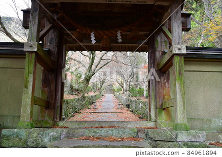 Futagoji Temple Maple Carpet Futagoji Temple Maple Carpet 84961894