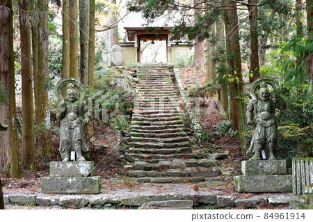 Futagoji Temple Maple Carpet Futagoji Temple Maple Carpet 84961914