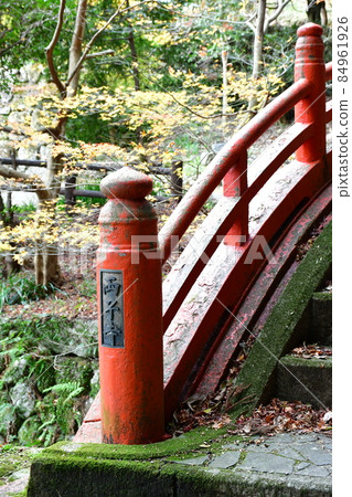 Futagoji Temple Maple Carpet Futagoji Temple Maple Carpet 84961926