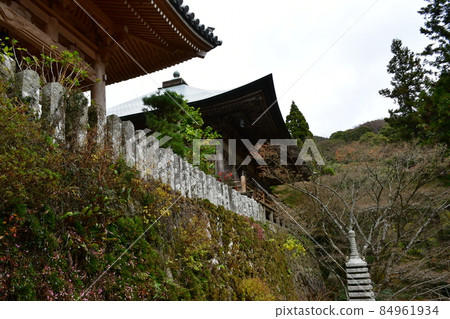 Futagoji Temple Maple Carpet 84961934