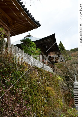 Futagoji Temple Maple Carpet Futagoji Temple Maple Carpet 84961936