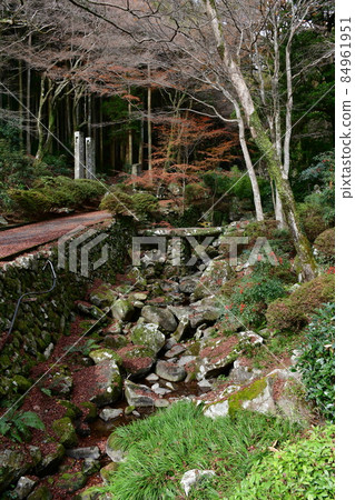 Futagoji Temple Maple Carpet Futagoji Temple Maple Carpet 84961951