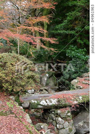 Futagoji Temple Maple Carpet Futagoji Temple Maple Carpet 84961963