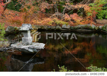 二子寺楓葉地毯 二子寺楓葉地毯 84961999