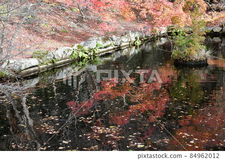 二子寺楓葉地毯 二子寺楓葉地毯 84962012