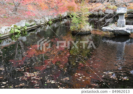 二子寺楓葉地毯 二子寺楓葉地毯 84962013