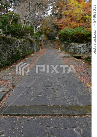 二子寺楓葉地毯 二子寺楓葉地毯 84962015