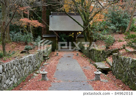 Futagoji Temple Maple Carpet 84962018
